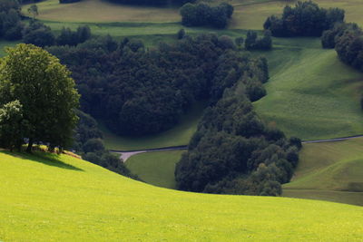 Scenic view of field