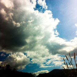 Low angle view of sky