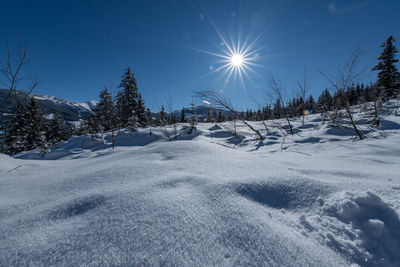 Snow covered landscape against sky