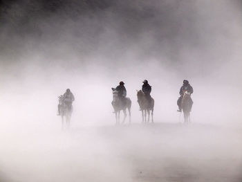 People riding horses on field during foggy weather