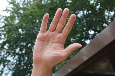 Cropped hand of person against tree