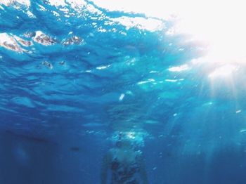 Full frame shot of jellyfish swimming in water