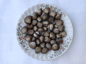 High angle view of dessert in plate