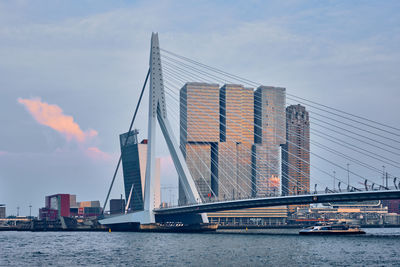 Rotterdam cityscape and erasmus bridge over nieuwe maas on sunset. rotterdam, netherlands