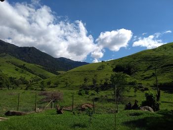 Scenic view of landscape against sky