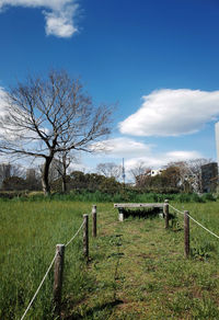 Scenic view of grassy field against cloudy sky