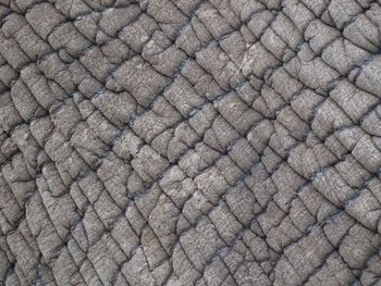 Full frame shot of elephant skin