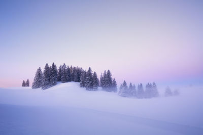 Trees on snow covered landscape against clear sky