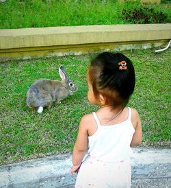 Rear view of girl with ducks on grass