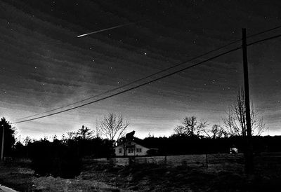 Trees against sky at night