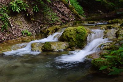 View of waterfall in forest