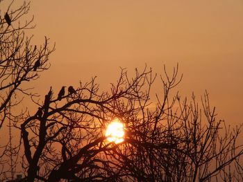 Low angle view of silhouette bare tree against orange sky