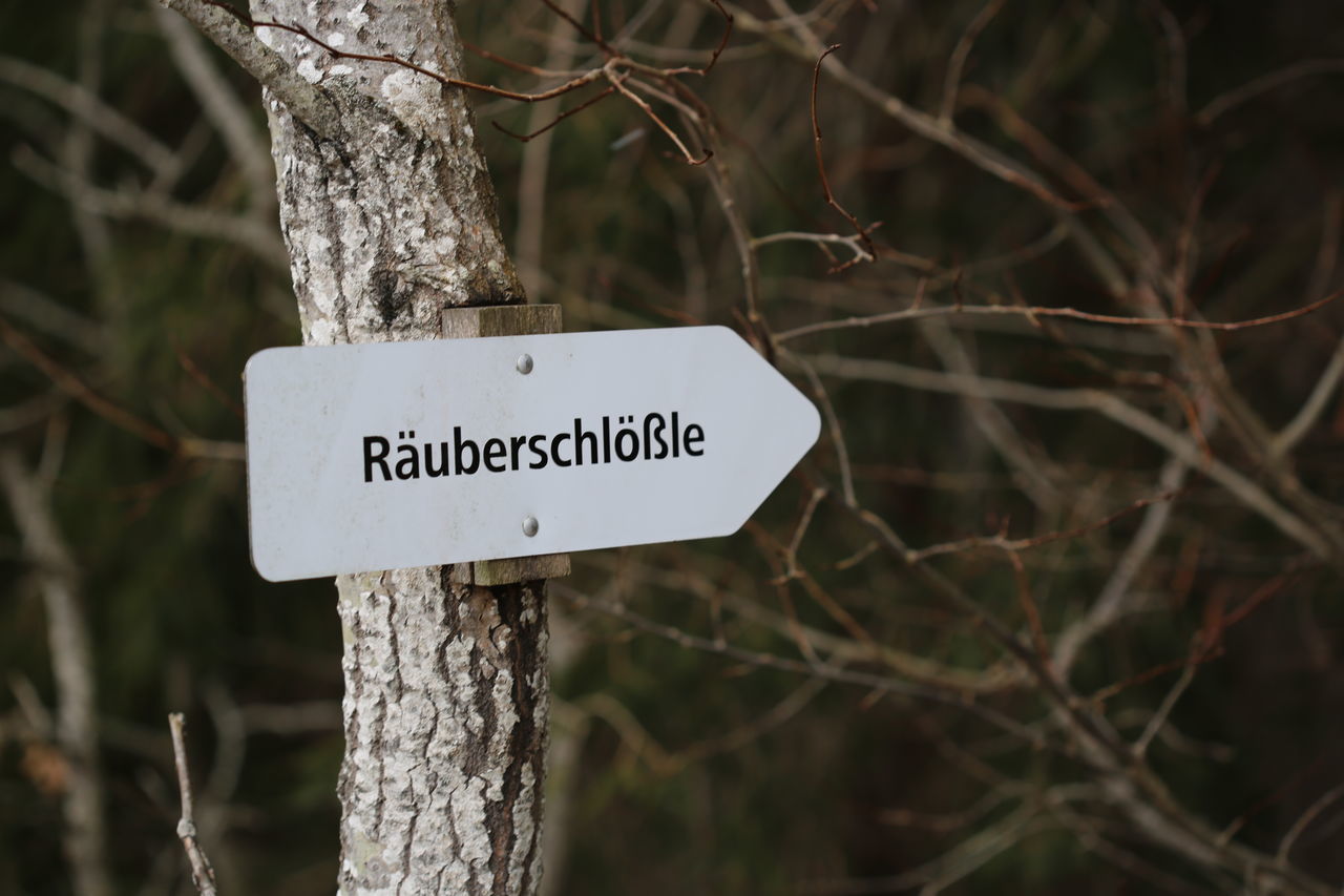 communication, sign, tree, text, nature, plant, branch, western script, tree trunk, no people, trunk, focus on foreground, guidance, outdoors, symbol, leaf, information sign, warning sign, forest