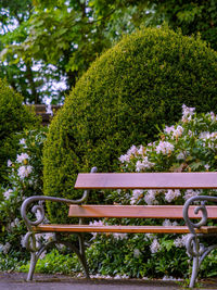 View of park bench in garden