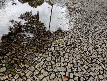 High angle view of wet sidewalk