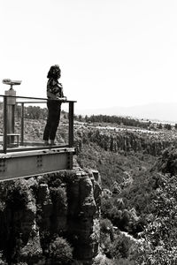 Full length of a horse on field against clear sky
