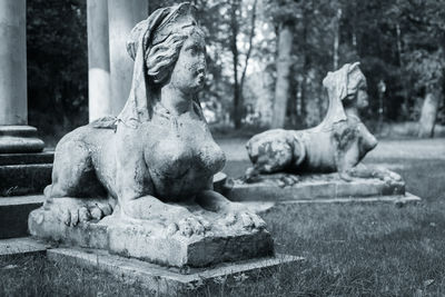 Close-up of statue against trees