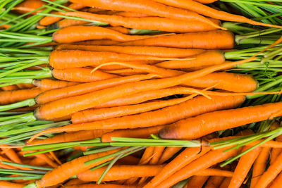 Close-up of fresh orange leaves