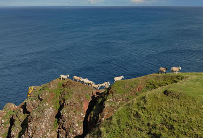 High angle view of sea and rocks against sky