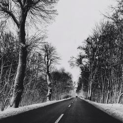 Empty road along trees