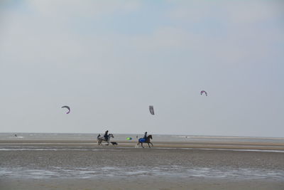 People riding horses on beach