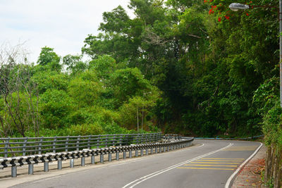 Road by trees in city