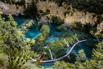 High angle view of trees by sea