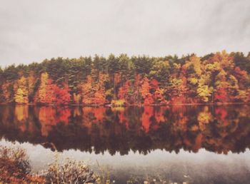 Reflection of trees in calm lake during autumn