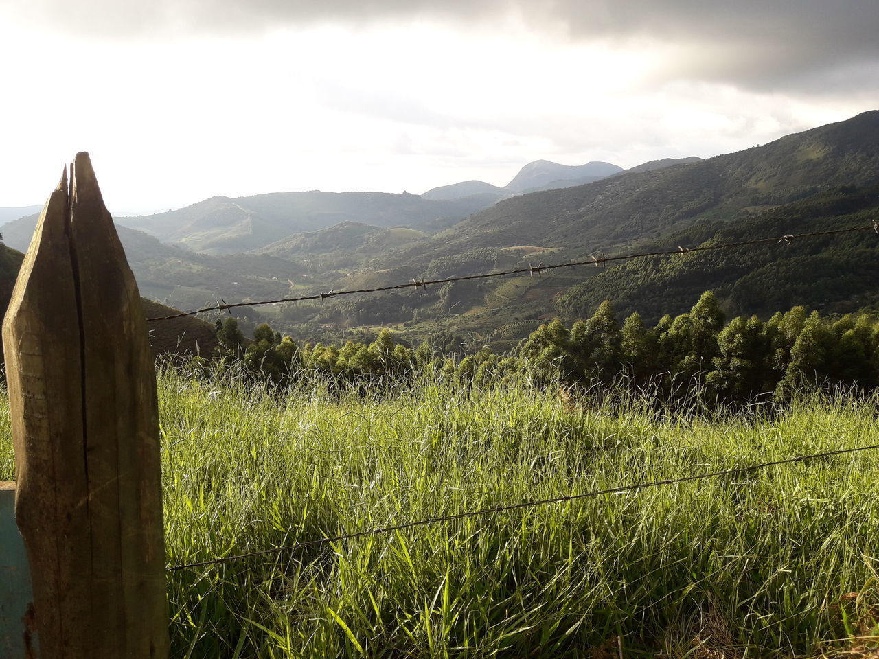 SCENIC VIEW OF GRASSY FIELD AGAINST MOUNTAINS