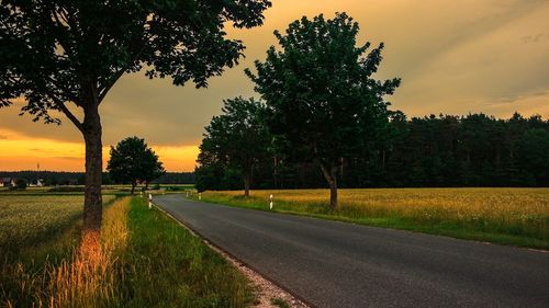 Road by trees on field against sky at sunset