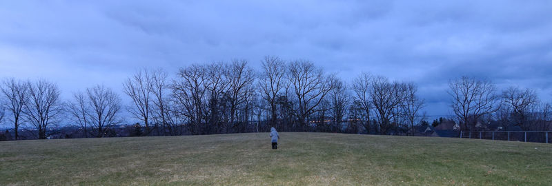 Bare trees on field against sky