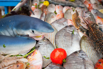 High angle view of fish for sale in market