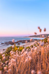 Scenic view of sea against clear sky