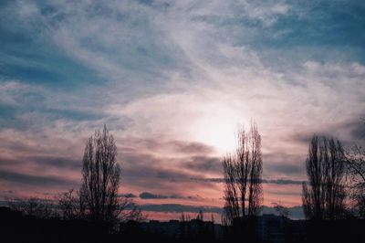 Silhouette of trees against cloudy sky