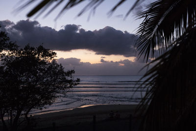 Silhouette palm trees on beach against sky at sunset