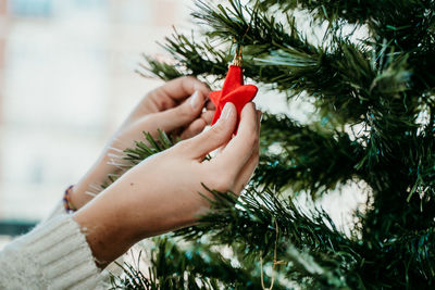 Midsection of woman holding christmas tree