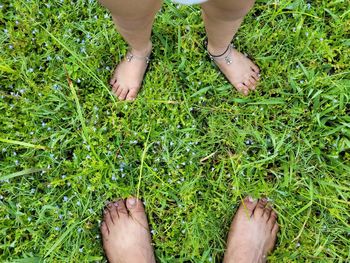 Low section of person standing on grass