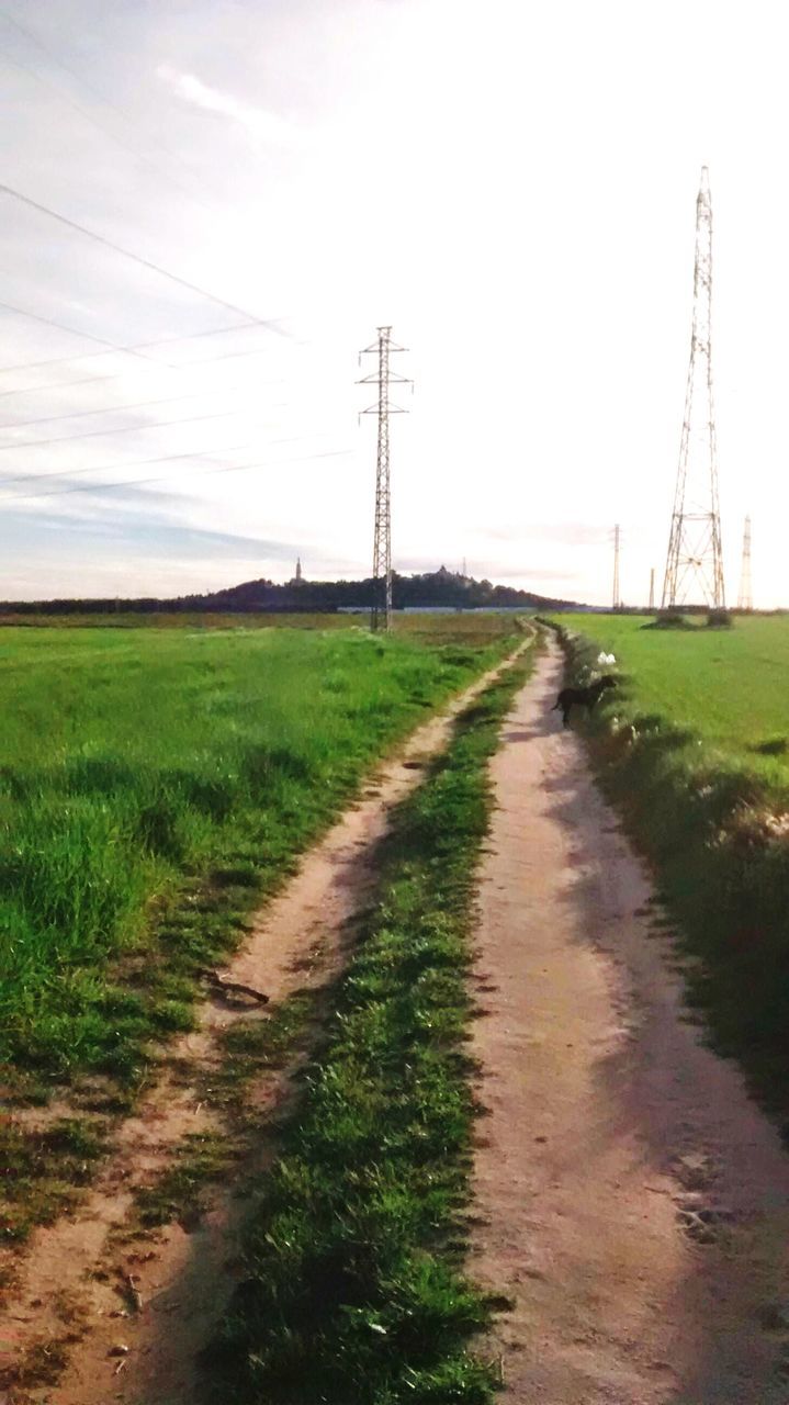 field, electricity pylon, grass, landscape, power line, the way forward, sky, fuel and power generation, electricity, rural scene, power supply, dirt road, grassy, road, tranquil scene, tranquility, nature, diminishing perspective, agriculture, transportation