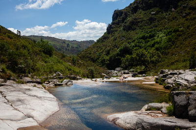 Scenic view of river amidst trees against sky