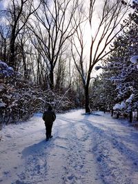 Snow covered landscape