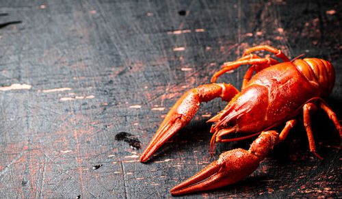 Close-up of seafood on table