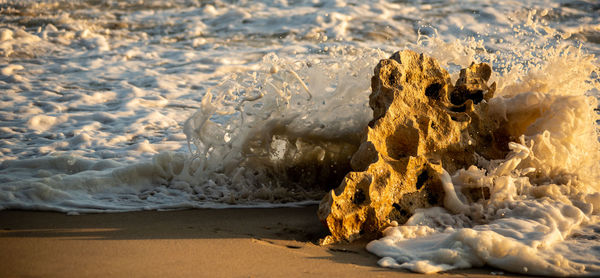 Close-up of rocks on beach