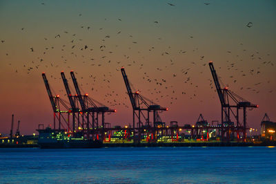 Large cranes at a dockside with ship moored, sunset lit with many birds flying 