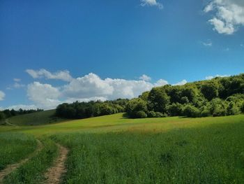 Scenic view of grassy field against cloudy sky