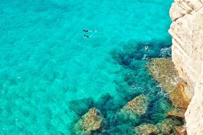 High angle view of people swimming in sea