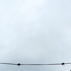 Low angle view of bird perching against sky