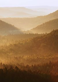 Cold morning at the end of summer. colorful summer morning with golden light and fog between hills