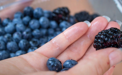 Close-up of hand holding fruit