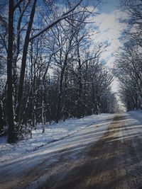 Snow covered trees against sky