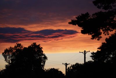 Low angle view of silhouette trees against orange sky